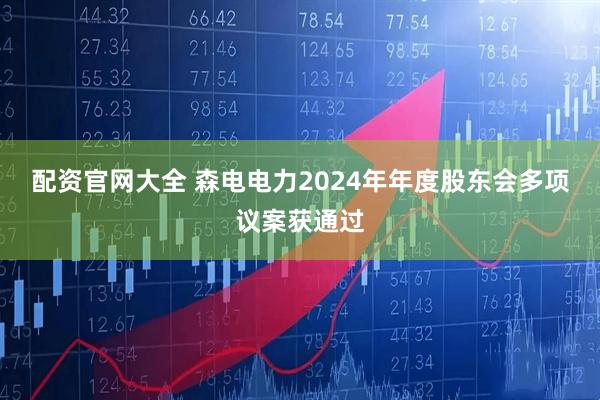 配资官网大全 森电电力2024年年度股东会多项议案获通过